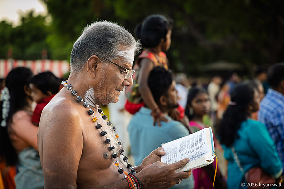 Reading Amid the Gathering