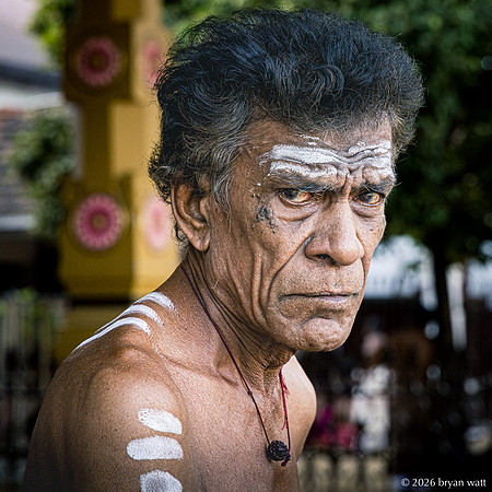 Portrait with Sacred Ash
