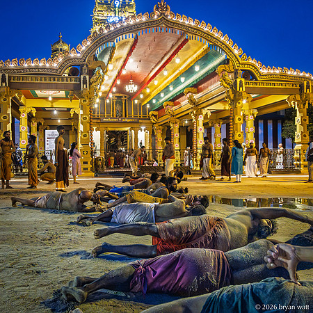 Rolling Observance in the Temple Lights