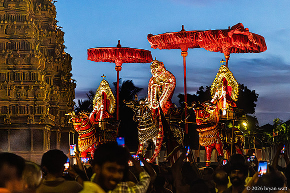 Illuminated Procession at Twilight