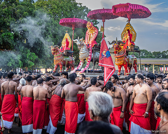 Shoulder to Shoulder Beneath the Procession