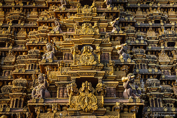 The Sculpted Surface of the Gopuram