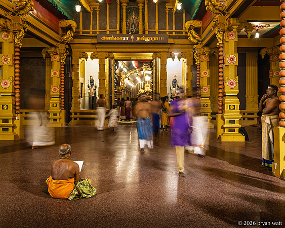 Stillness Amid the Passing Crowd