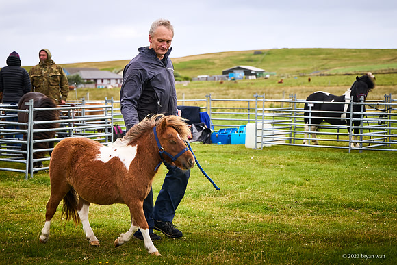 Cunningsburgh Agricultural Show 2023