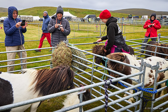 Cunningsburgh Agricultural Show 2023