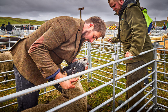 Cunningsburgh Agricultural Show 2023