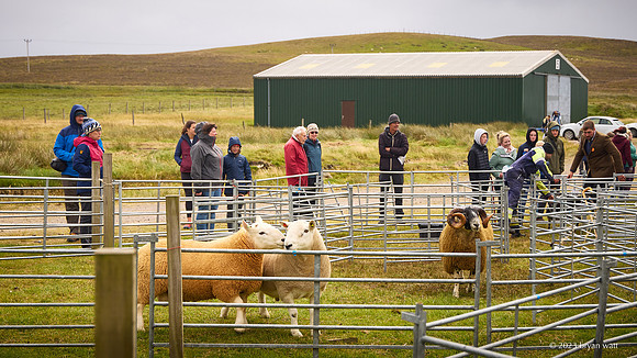 Cunningsburgh Agricultural Show 2023