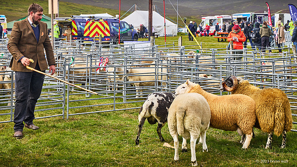 Cunningsburgh Agricultural Show 2023