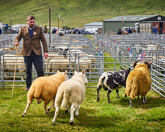 Cunningsburgh Agricultural Show 2023
