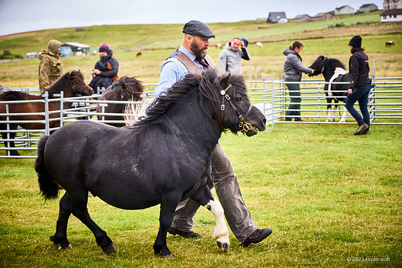 Cunningsburgh Agricultural Show 2023
