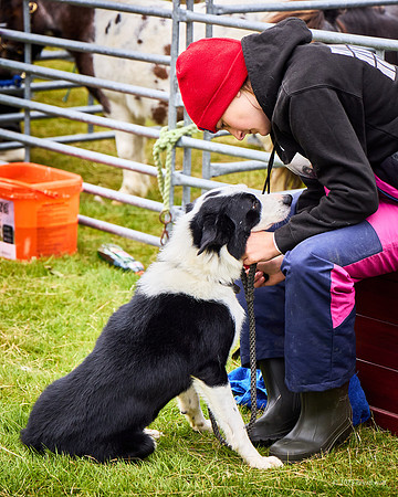 Cunningsburgh Agricultural Show 2023