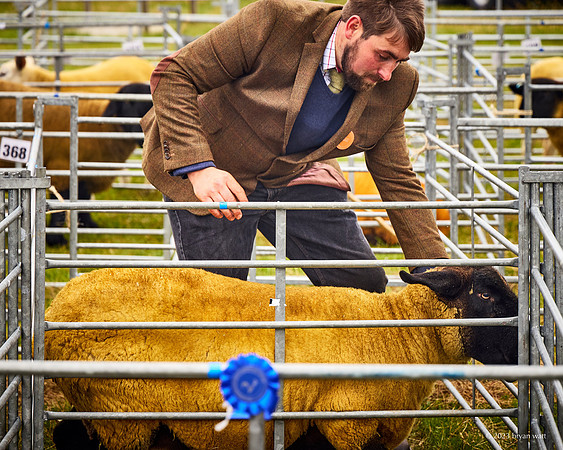 Cunningsburgh Agricultural Show 2023