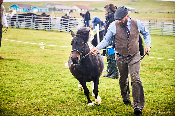 Cunningsburgh Agricultural Show 2023