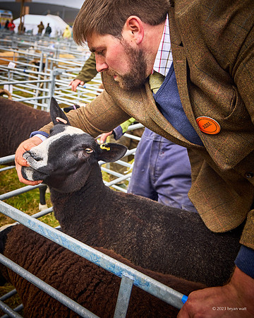 Cunningsburgh Agricultural Show 2023