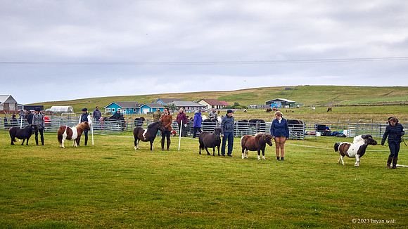 Cunningsburgh Agricultural Show 2023