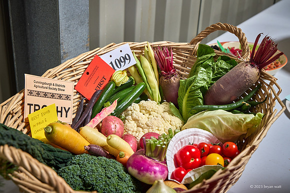 Cunningsburgh Agricultural Show 2023