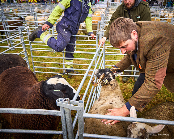 Cunningsburgh Agricultural Show 2023