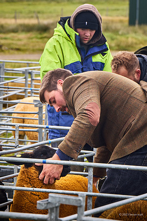 Cunningsburgh Agricultural Show 2023