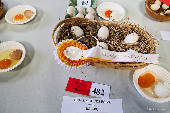 Cunningsburgh Agricultural Show 2023