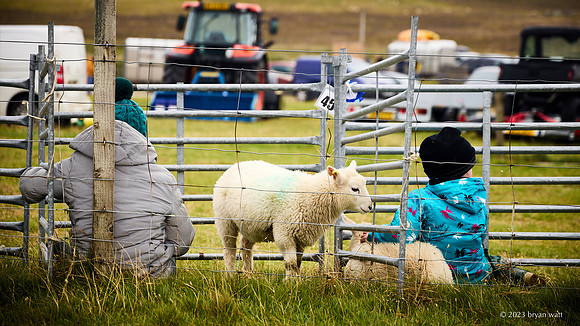 Cunningsburgh Agricultural Show 2023