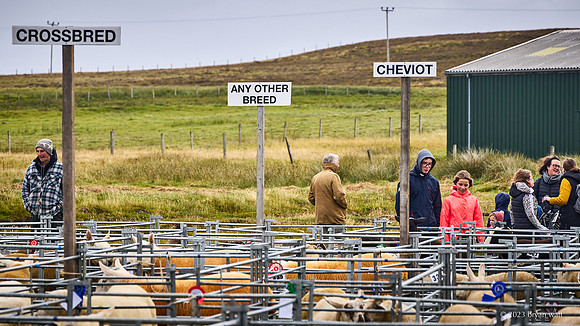 Cunningsburgh Agricultural Show 2023