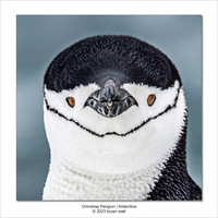 Antarctica