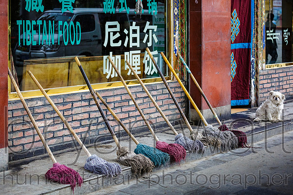 Lhasa Tibet